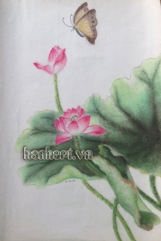 image383