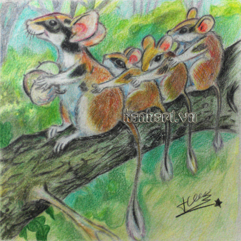 image37