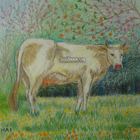 image35