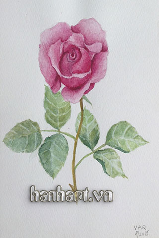 image455