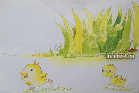 image457