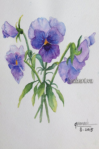 image405
