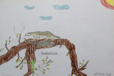 image437
