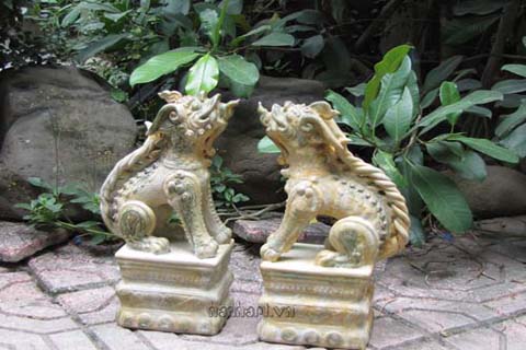 image41