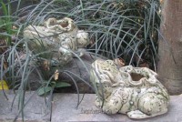 image23